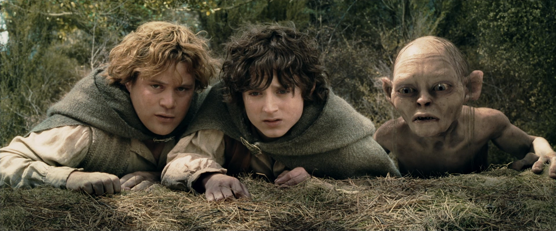 Властелин колец Фродо и Сэм